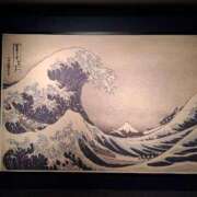 ヒメ日記 2025/09/15 23:21 投稿 胡蝶蘭 ローテンブルク