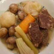 ヒメ日記 2025/09/28 18:29 投稿 胡蝶蘭 ローテンブルク