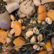 ヒメ日記 2025/09/29 08:08 投稿 胡蝶蘭 ローテンブルク