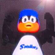 ヒメ日記 2025/10/08 11:27 投稿 胡蝶蘭 ローテンブルク