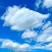 ヒメ日記 2025/10/12 21:29 投稿 胡蝶蘭 ローテンブルク