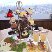 ヒメ日記 2025/10/25 19:06 投稿 胡蝶蘭 ローテンブルク