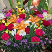 ヒメ日記 2025/11/02 19:52 投稿 胡蝶蘭 ローテンブルク