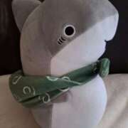 ヒメ日記 2025/11/28 09:57 投稿 胡蝶蘭 ローテンブルク