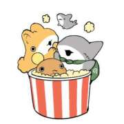 ヒメ日記 2025/12/01 21:27 投稿 胡蝶蘭 ローテンブルク