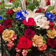 胡蝶蘭 12月11日、木曜、こんにちは ローテンブルク