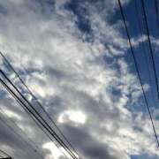 ヒメ日記 2025/12/22 14:32 投稿 胡蝶蘭 ローテンブルク