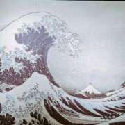 ヒメ日記 2026/01/01 12:23 投稿 胡蝶蘭 ローテンブルク