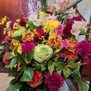 ヒメ日記 2026/01/04 19:29 投稿 胡蝶蘭 ローテンブルク