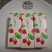 胡蝶蘭 2月22日.出勤日です ローテンブルク