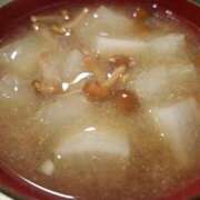 ヒメ日記 2026/03/03 09:11 投稿 胡蝶蘭 ローテンブルク