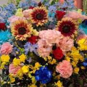 胡蝶蘭 6月14日出勤日の私 ローテンブルク