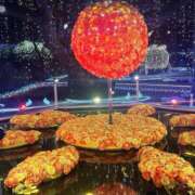 ヒメ日記 2025/01/14 23:10 投稿 吉沢はるか ローテンブルク