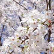 ヒメ日記 2025/04/05 19:54 投稿 吉沢はるか ローテンブルク