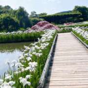 ヒメ日記 2025/06/19 22:52 投稿 吉沢はるか ローテンブルク