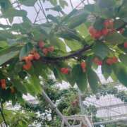 ヒメ日記 2025/06/26 22:43 投稿 吉沢はるか ローテンブルク