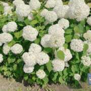 ヒメ日記 2025/07/13 09:25 投稿 吉沢はるか ローテンブルク