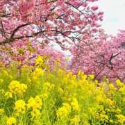 ヒメ日記 2026/02/23 08:47 投稿 吉沢はるか ローテンブルク