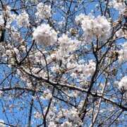 ヒメ日記 2026/03/25 08:58 投稿 吉沢はるか ローテンブルク