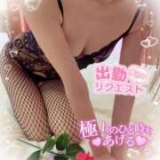 ヒメ日記 2024/12/11 07:25 投稿 いろは 新横浜人妻ポルノ