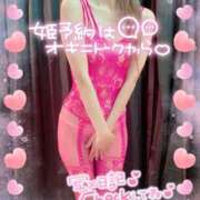 ヒメ日記 2025/02/20 07:25 投稿 いろは 新横浜人妻ポルノ