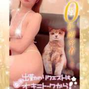 ヒメ日記 2025/02/22 07:15 投稿 いろは 新横浜人妻ポルノ