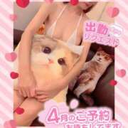 ヒメ日記 2025/03/23 23:25 投稿 いろは 新横浜人妻ポルノ