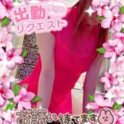 ヒメ日記 2025/04/03 07:25 投稿 いろは 新横浜人妻ポルノ