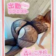 ヒメ日記 2025/04/14 10:25 投稿 いろは 新横浜人妻ポルノ