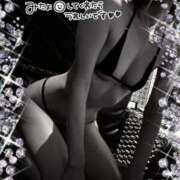 ヒメ日記 2025/04/15 19:25 投稿 いろは 新横浜人妻ポルノ