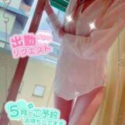 ヒメ日記 2025/04/26 10:35 投稿 いろは 新横浜人妻ポルノ