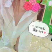 ヒメ日記 2025/04/30 07:25 投稿 いろは 新横浜人妻ポルノ