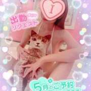 ヒメ日記 2025/05/20 10:25 投稿 いろは 新横浜人妻ポルノ