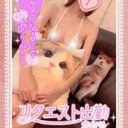 ヒメ日記 2025/10/22 07:25 投稿 いろは 新横浜人妻ポルノ