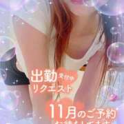 ヒメ日記 2025/11/16 10:15 投稿 いろは 新横浜人妻ポルノ