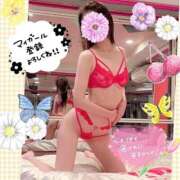 ヒメ日記 2026/01/28 23:15 投稿 いろは 新横浜人妻ポルノ