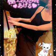 ヒメ日記 2026/03/02 19:25 投稿 いろは 新横浜人妻ポルノ