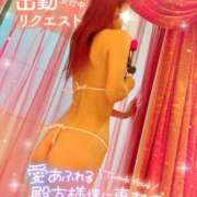 ヒメ日記 2026/04/01 07:15 投稿 いろは 新横浜人妻ポルノ