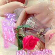 ヒメ日記 2026/04/08 12:25 投稿 いろは 新横浜人妻ポルノ