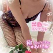 ヒメ日記 2026/04/25 07:25 投稿 いろは 新横浜人妻ポルノ