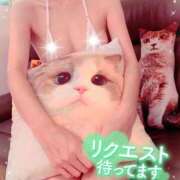 ヒメ日記 2026/05/18 10:15 投稿 いろは 新横浜人妻ポルノ