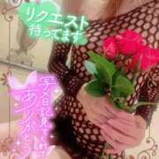 ヒメ日記 2026/06/26 15:25 投稿 いろは 新横浜人妻ポルノ