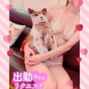 ヒメ日記 2026/06/29 07:15 投稿 いろは 新横浜人妻ポルノ