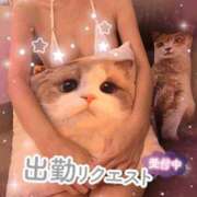ヒメ日記 2026/09/25 10:15 投稿 いろは 新横浜人妻ポルノ