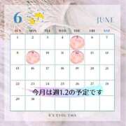 ヒメ日記 2025/06/05 05:12 投稿 エマ Я`s EVOL(アールズ エボル)