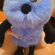 ヒメ日記 2026/02/22 08:20 投稿 もも（花嫁） Yシャツと私