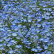 ヒメ日記 2026/04/25 06:01 投稿 もも（花嫁） Yシャツと私