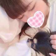 ヒメ日記 2025/04/13 12:33 投稿 りほ ラブライフさいたま