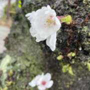 ヒメ日記 2025/04/04 08:20 投稿 ゆめ 脱がされたい人妻 越谷店