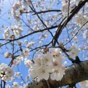 ヒメ日記 2025/04/06 10:31 投稿 ゆめ 脱がされたい人妻 越谷店